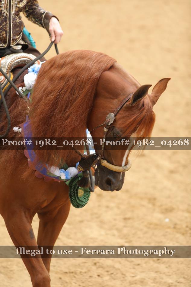 Proof 19R2_04268