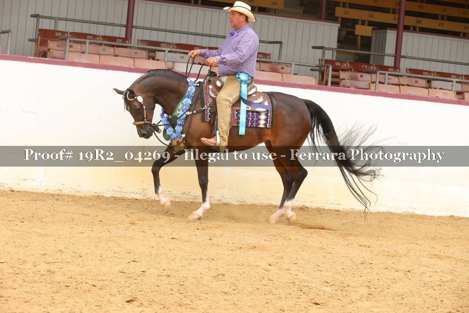Proof 19R2_04269