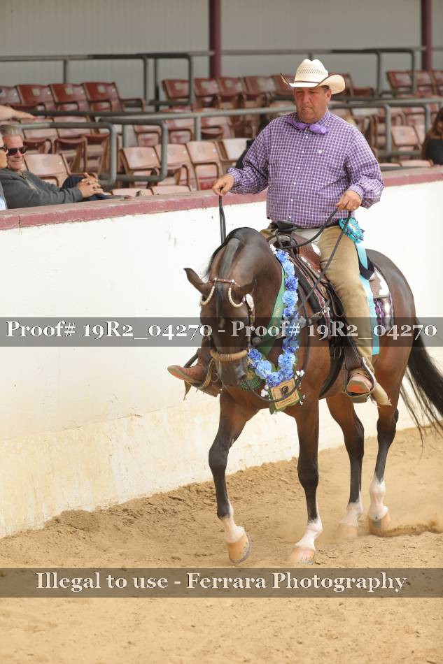 Proof 19R2_04270