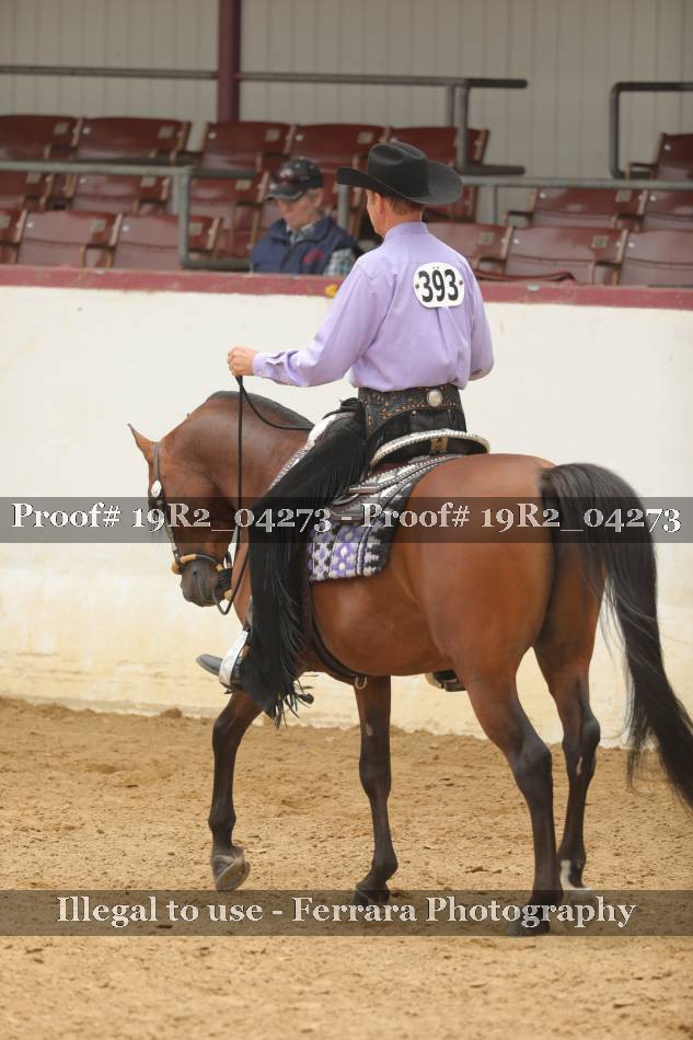 Proof 19R2_04273