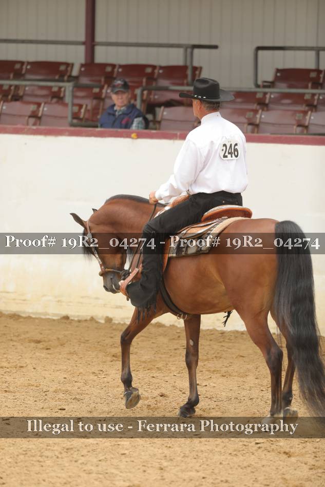 Proof 19R2_04274