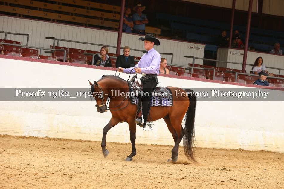 Proof 19R2_04275