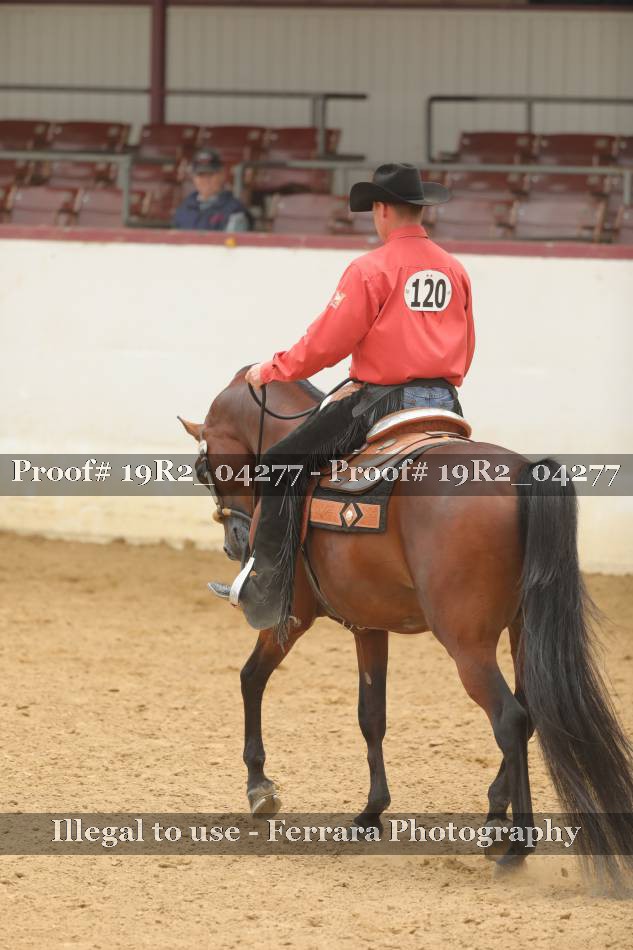 Proof 19R2_04277