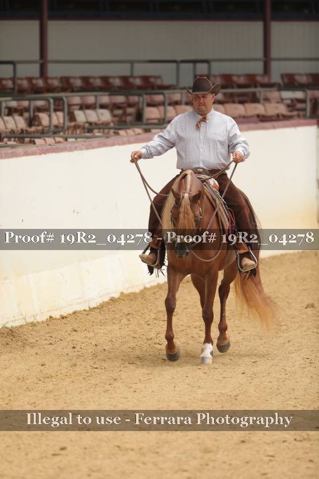 Proof 19R2_04278