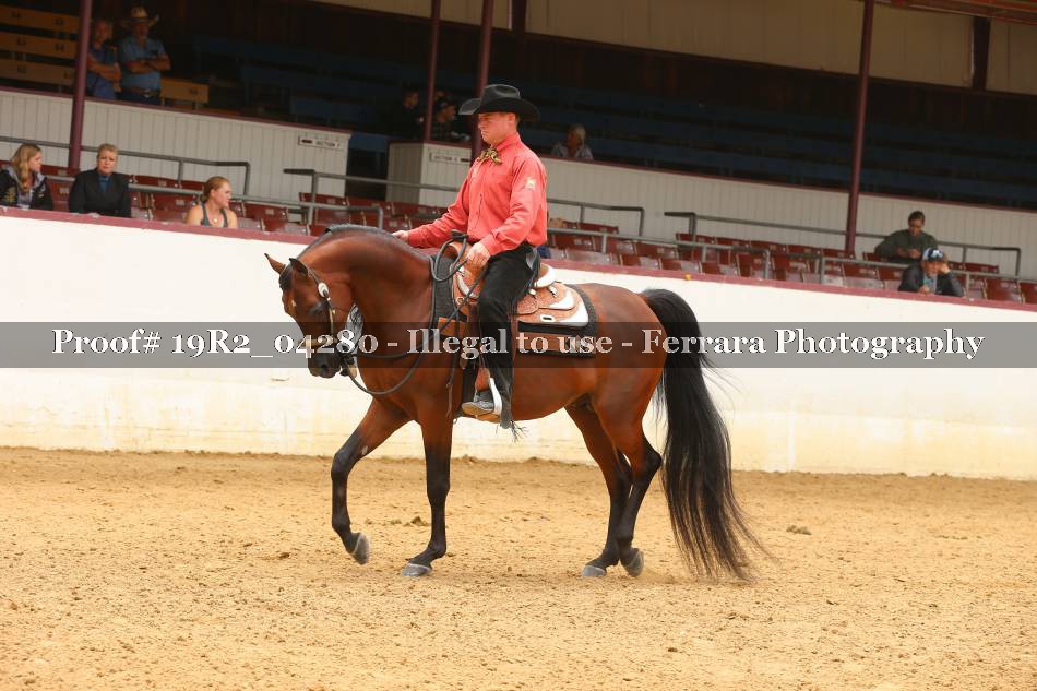 Proof 19R2_04280