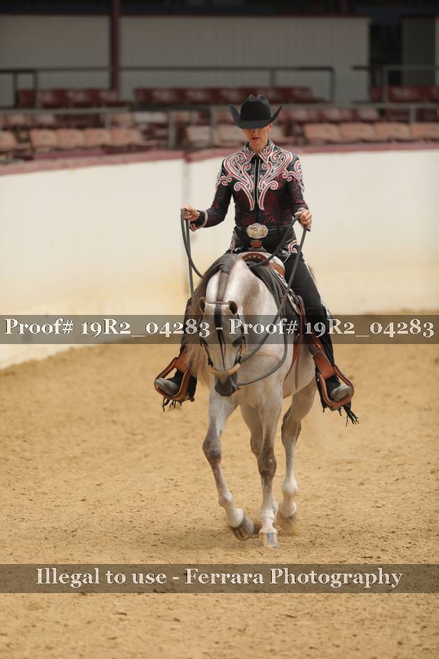 Proof 19R2_04283