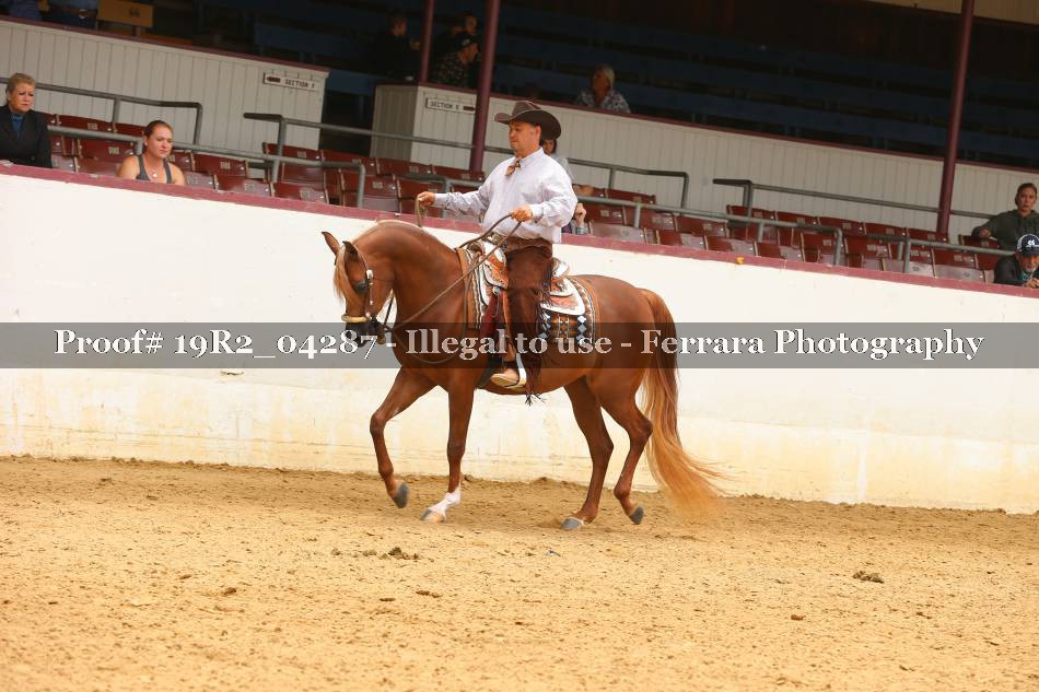 Proof 19R2_04287