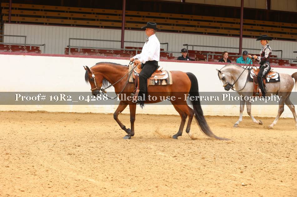Proof 19R2_04288