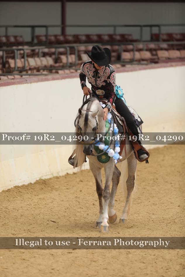 Proof 19R2_04290