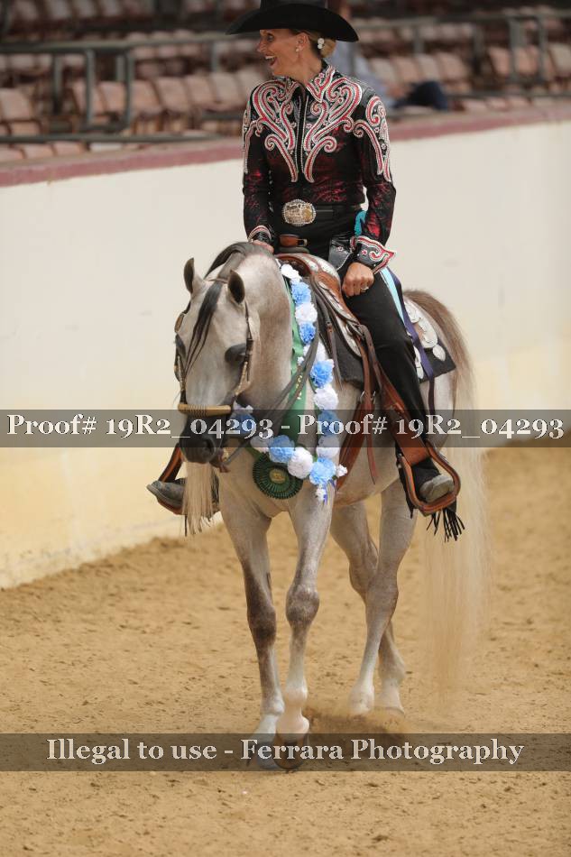 Proof 19R2_04293