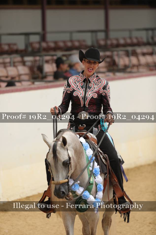 Proof 19R2_04294