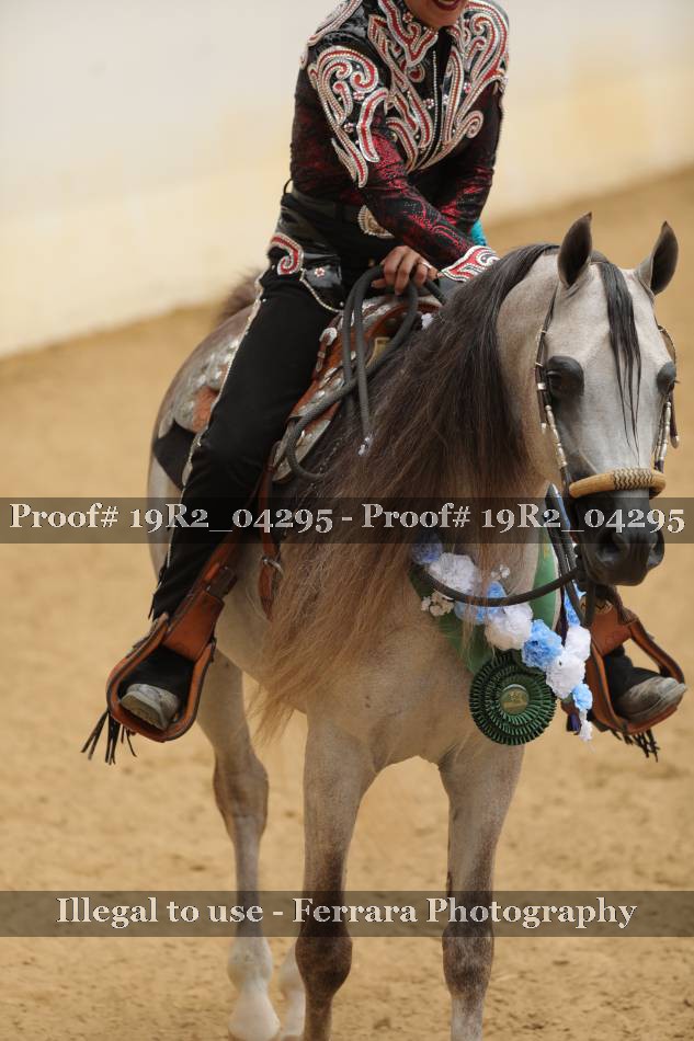 Proof 19R2_04295