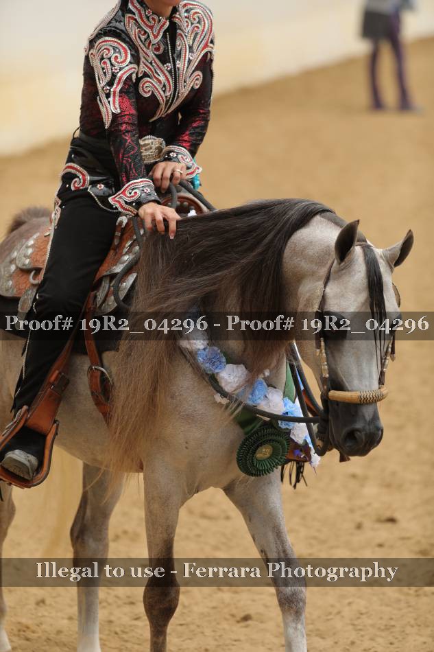 Proof 19R2_04296