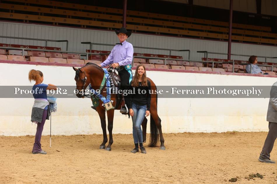 Proof 19R2_04299