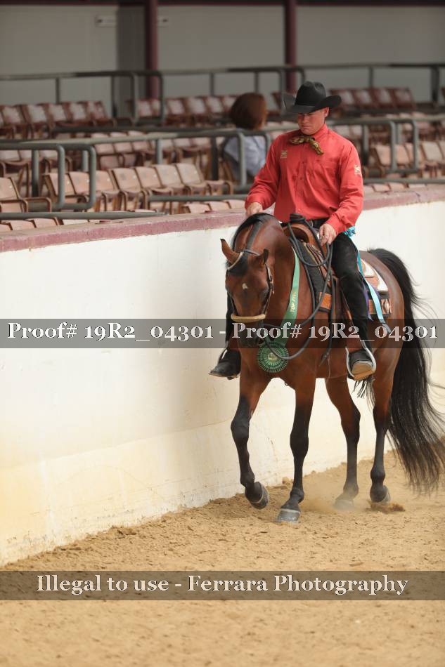 Proof 19R2_04301
