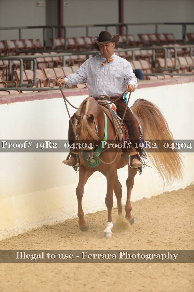 Proof 19R2_04304