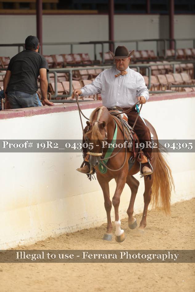 Proof 19R2_04305