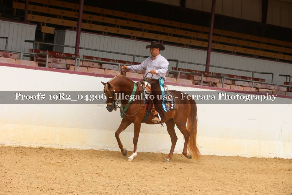 Proof 19R2_04306