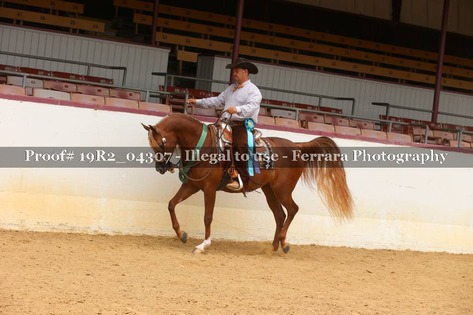 Proof 19R2_04307