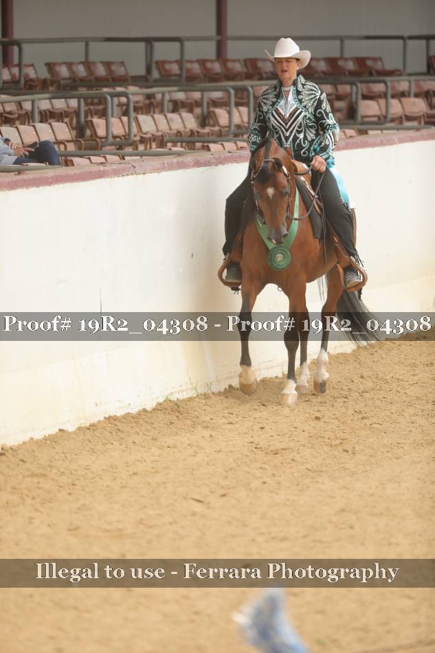 Proof 19R2_04308