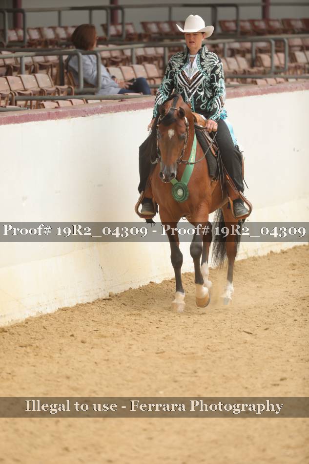 Proof 19R2_04309