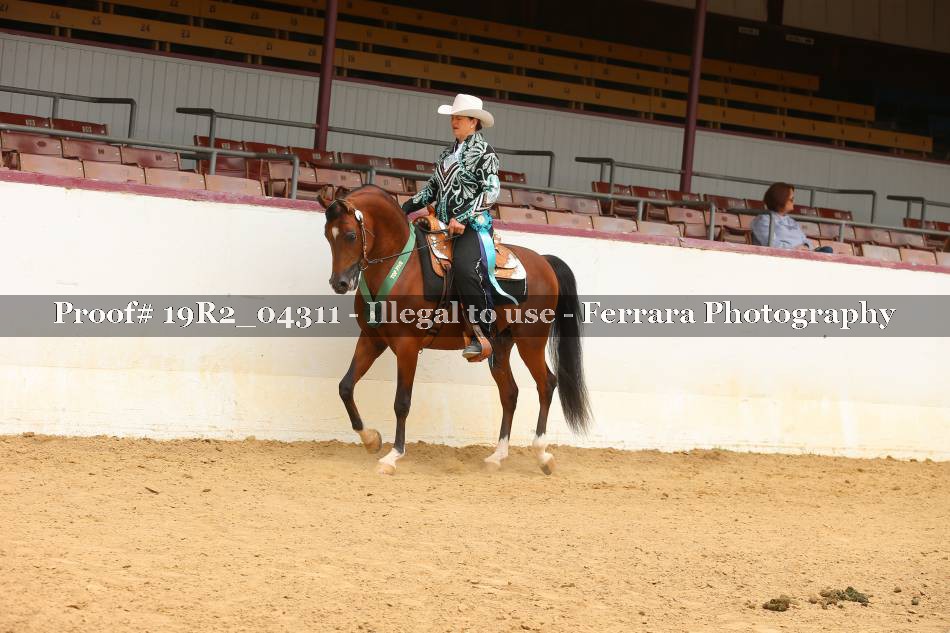 Proof 19R2_04311