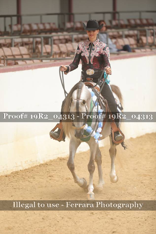 Proof 19R2_04313