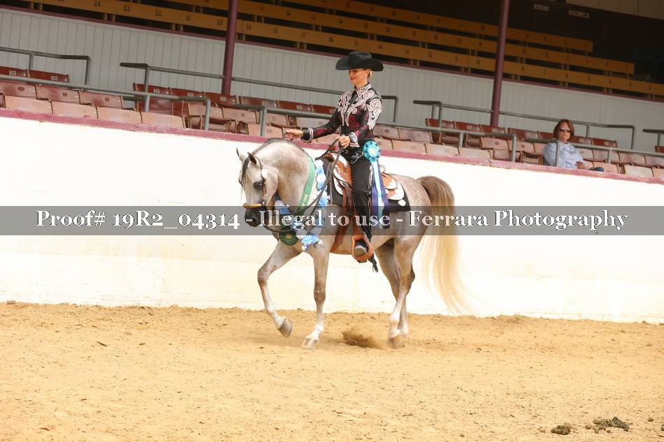 Proof 19R2_04314