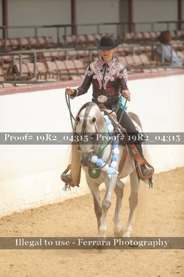 Proof 19R2_04315
