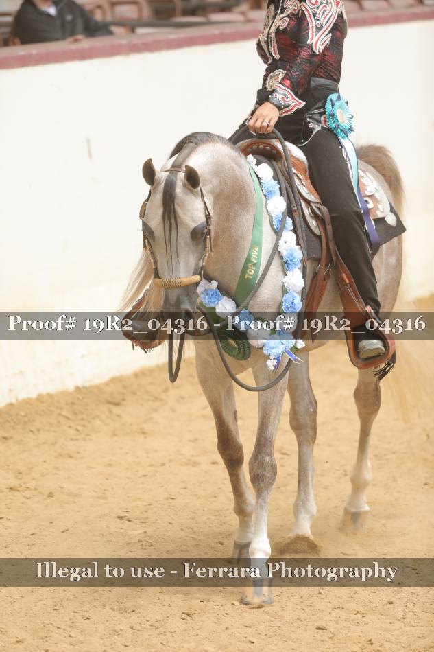 Proof 19R2_04316