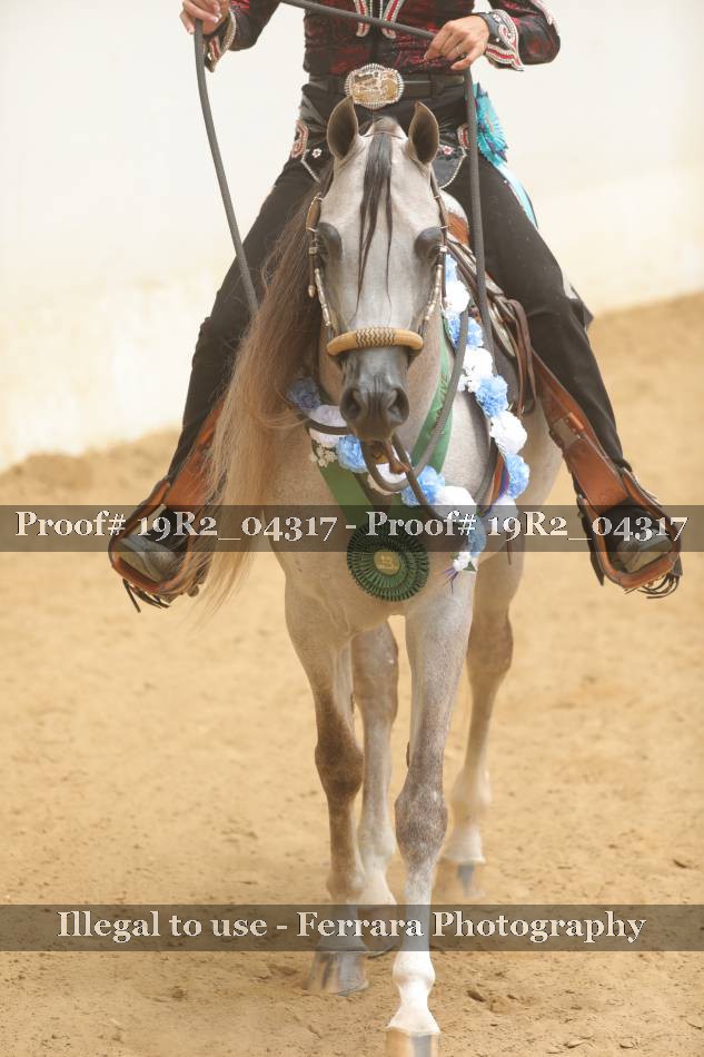 Proof 19R2_04317