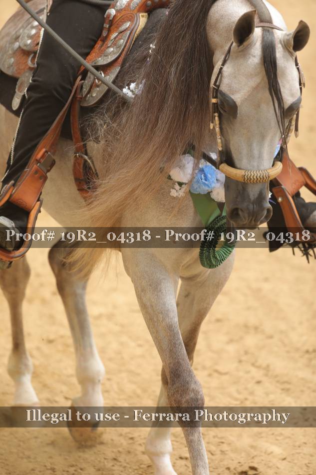 Proof 19R2_04318