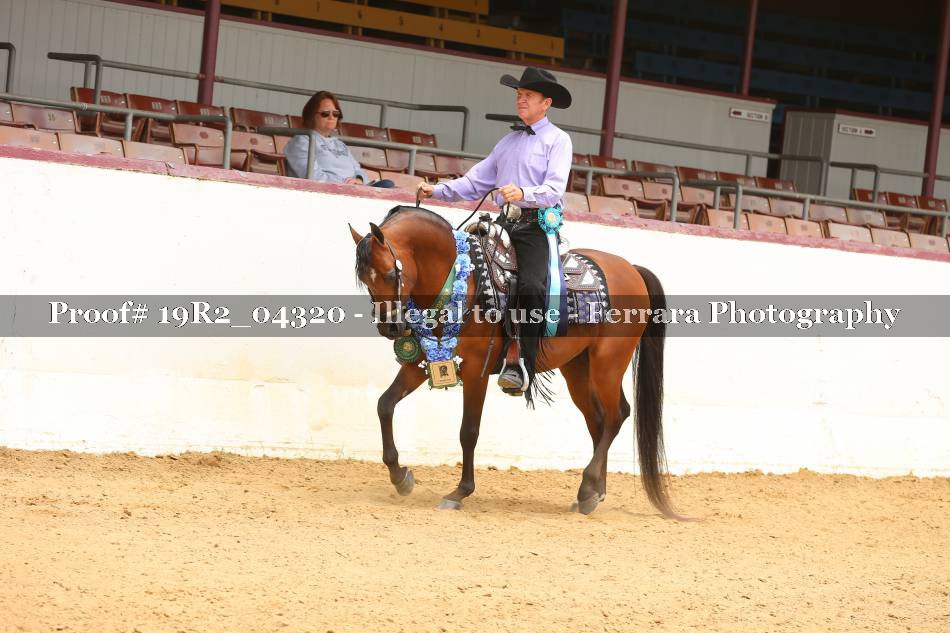 Proof 19R2_04320