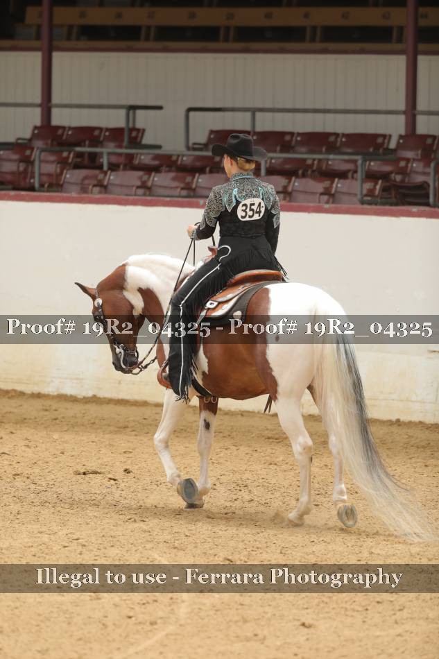Proof 19R2_04325