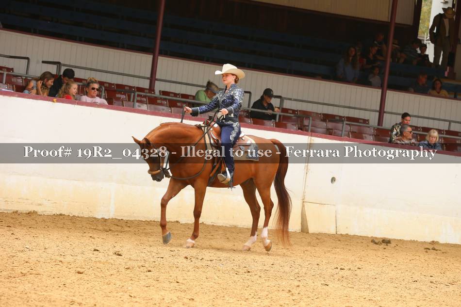 Proof 19R2_04328