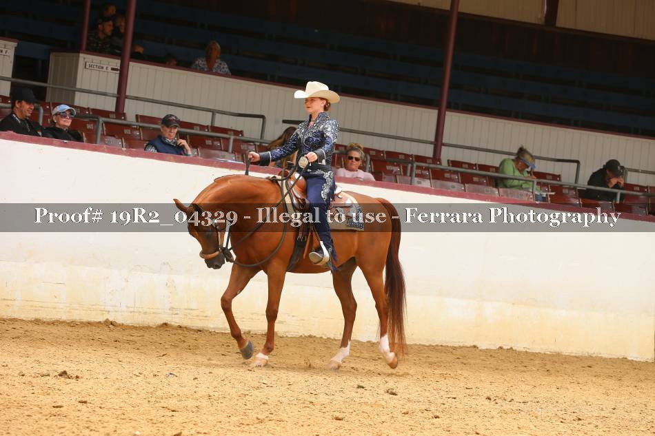 Proof 19R2_04329