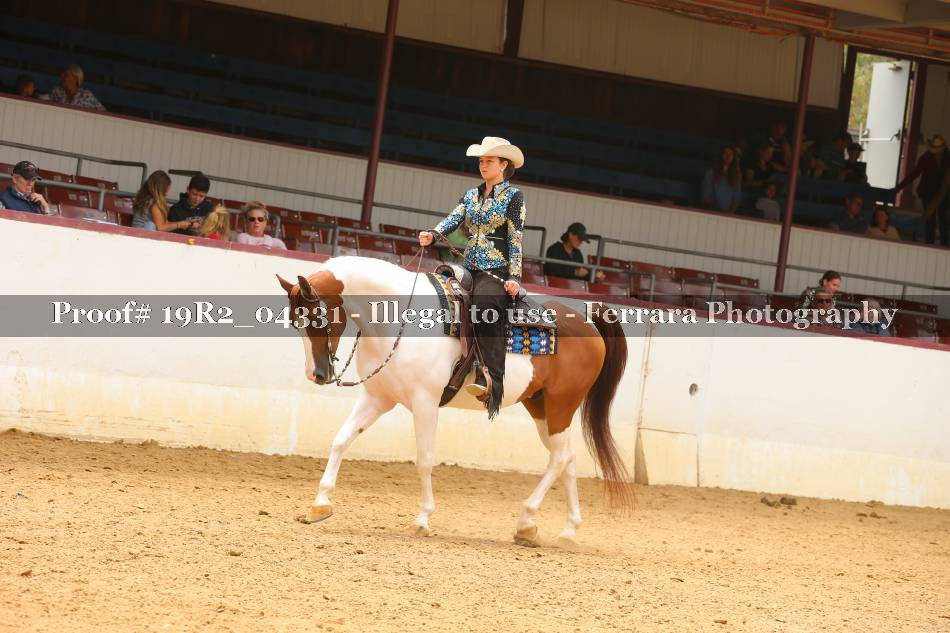 Proof 19R2_04331