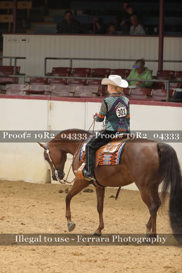 Proof 19R2_04333