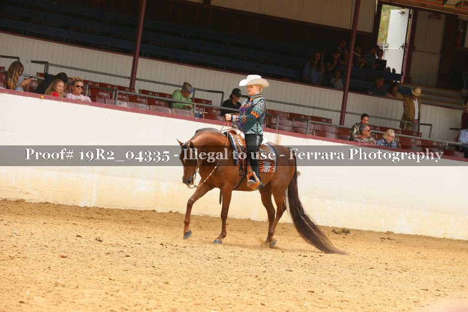Proof 19R2_04335