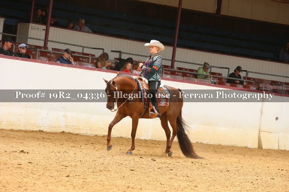 Proof 19R2_04336