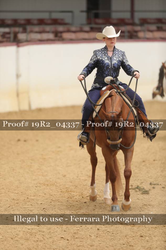 Proof 19R2_04337