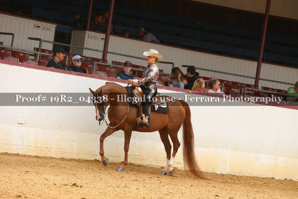 Proof 19R2_04338