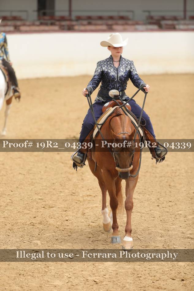 Proof 19R2_04339