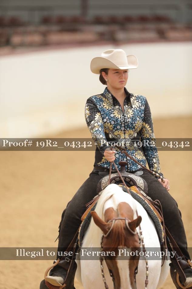 Proof 19R2_04342