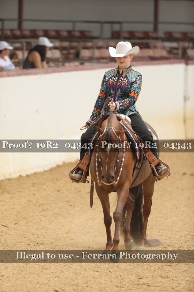 Proof 19R2_04343