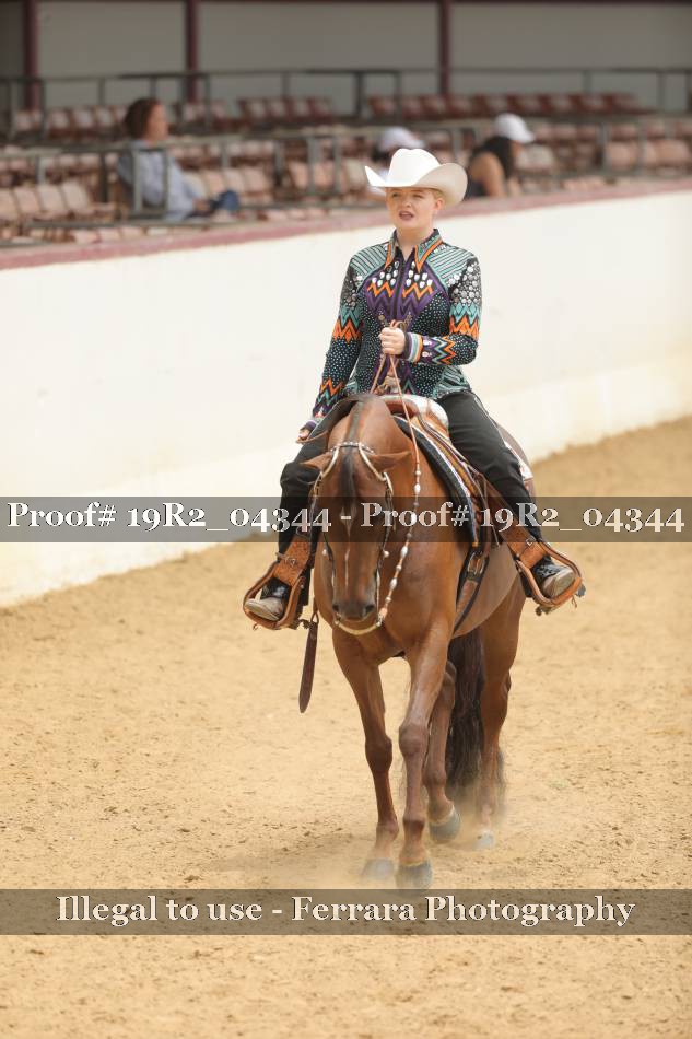 Proof 19R2_04344