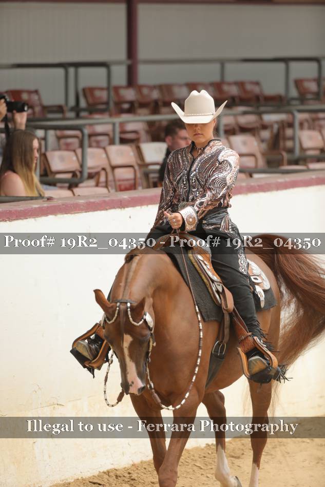Proof 19R2_04350