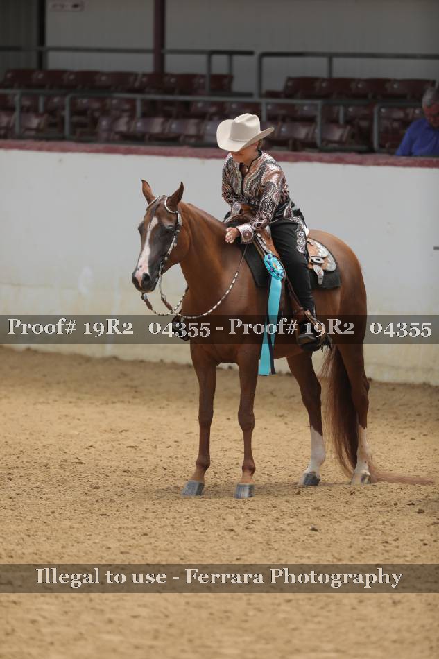 Proof 19R2_04355