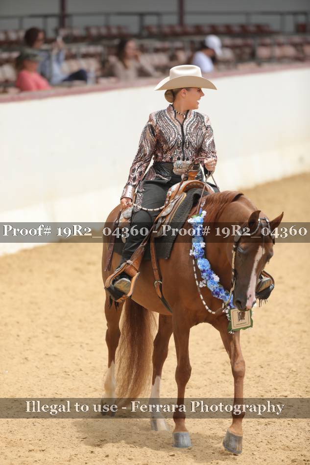 Proof 19R2_04360