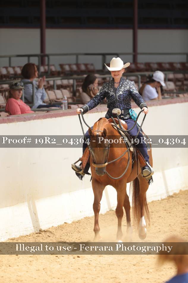 Proof 19R2_04364